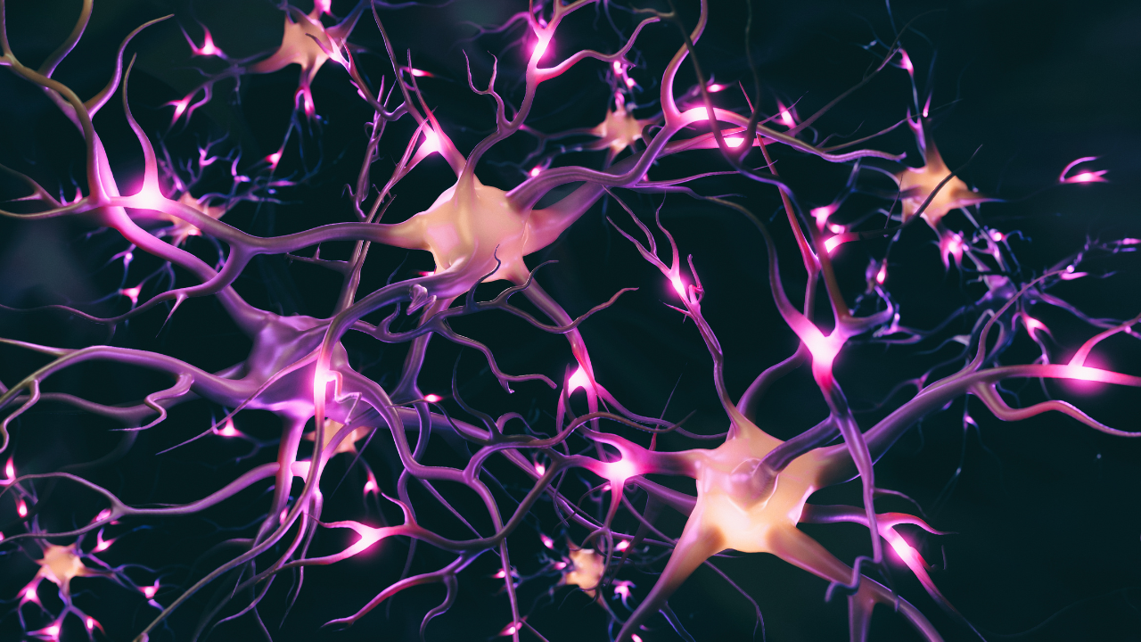 Understanding Neurotransmitters